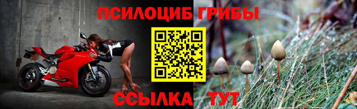 Псилоцибиновые грибы MAGIC MUSHROOMS Полевской